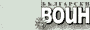 bgvoin